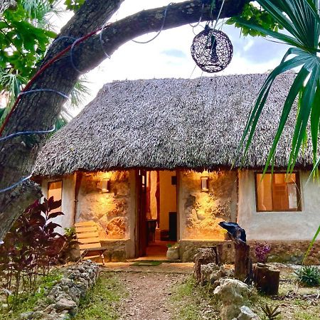 Encantadora Villa Maya Tradicional En Rancho Agroecologico Tzucaceb エクステリア 写真