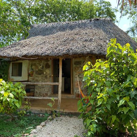 Encantadora Villa Maya Tradicional En Rancho Agroecologico Tzucaceb エクステリア 写真
