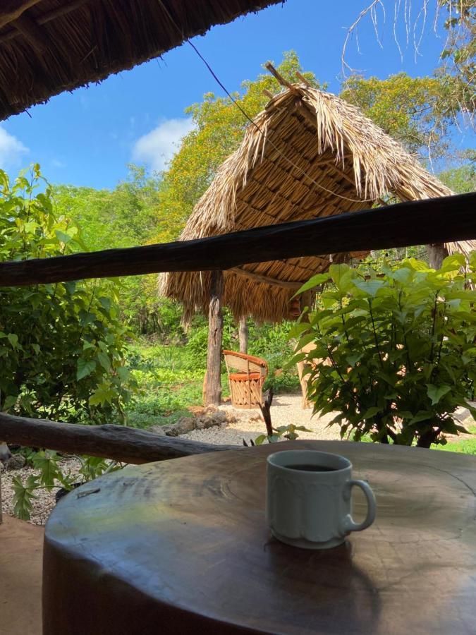 Encantadora Villa Maya Tradicional En Rancho Agroecologico Tzucaceb エクステリア 写真