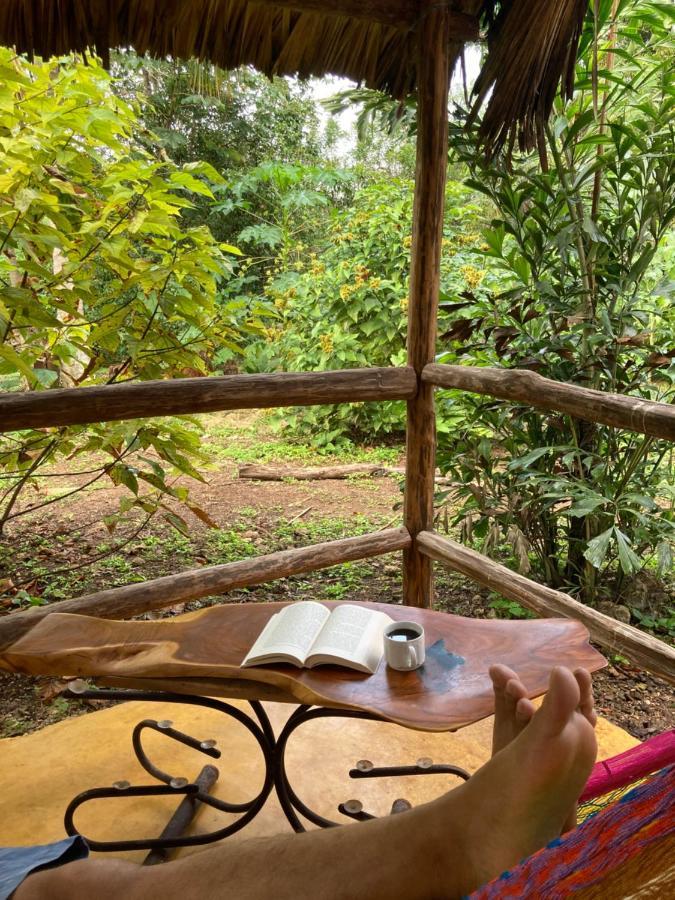 Encantadora Villa Maya Tradicional En Rancho Agroecologico Tzucaceb エクステリア 写真
