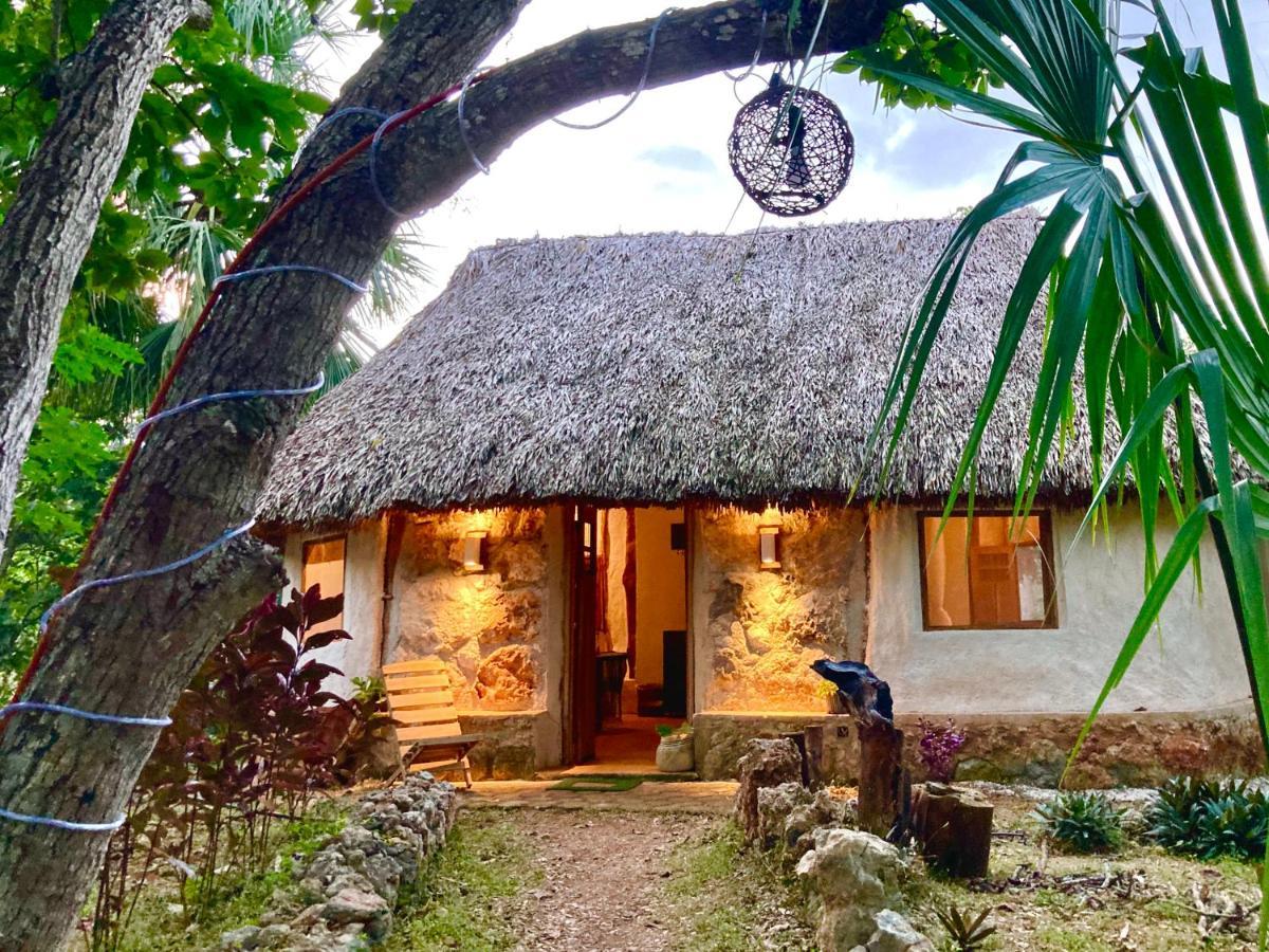 Encantadora Villa Maya Tradicional En Rancho Agroecologico Tzucaceb エクステリア 写真