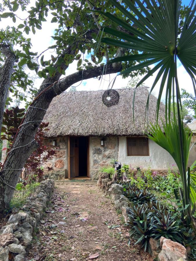 Encantadora Villa Maya Tradicional En Rancho Agroecologico Tzucaceb エクステリア 写真