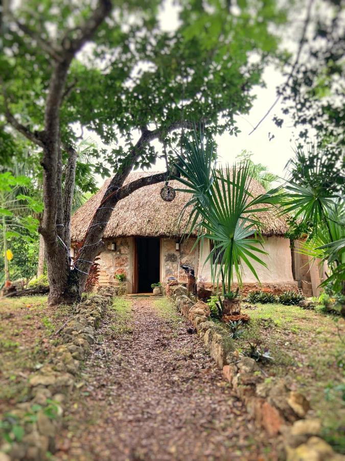 Encantadora Villa Maya Tradicional En Rancho Agroecologico Tzucaceb エクステリア 写真