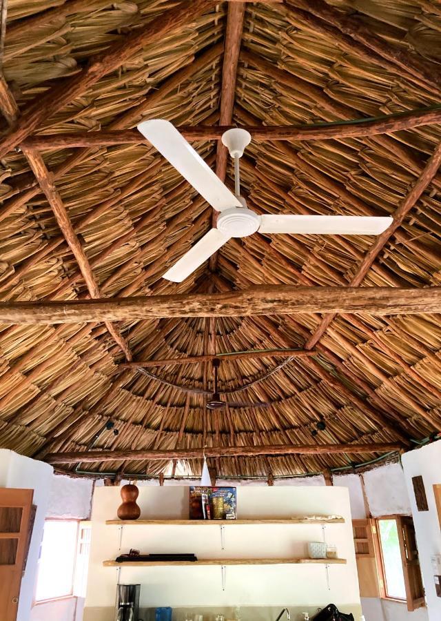 Encantadora Villa Maya Tradicional En Rancho Agroecologico Tzucaceb エクステリア 写真