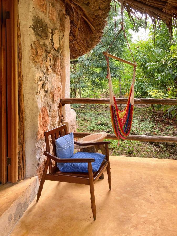 Encantadora Villa Maya Tradicional En Rancho Agroecologico Tzucaceb エクステリア 写真