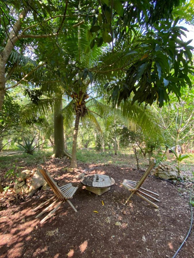 Encantadora Villa Maya Tradicional En Rancho Agroecologico Tzucaceb エクステリア 写真