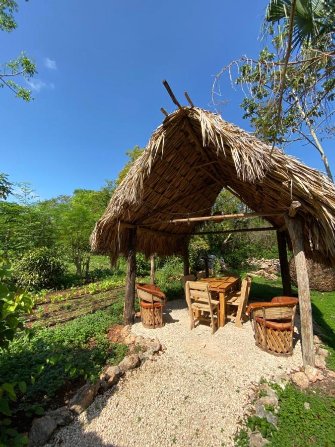 Encantadora Villa Maya Tradicional En Rancho Agroecologico Tzucaceb エクステリア 写真