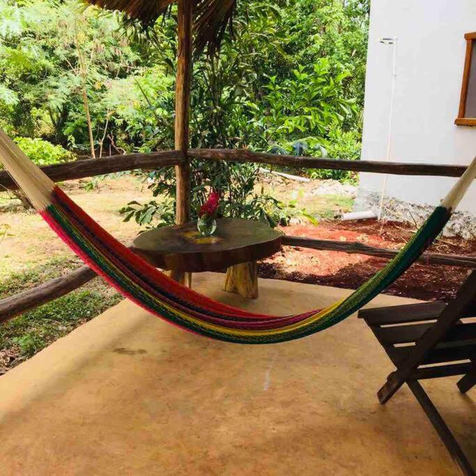 Encantadora Villa Maya Tradicional En Rancho Agroecologico Tzucaceb エクステリア 写真