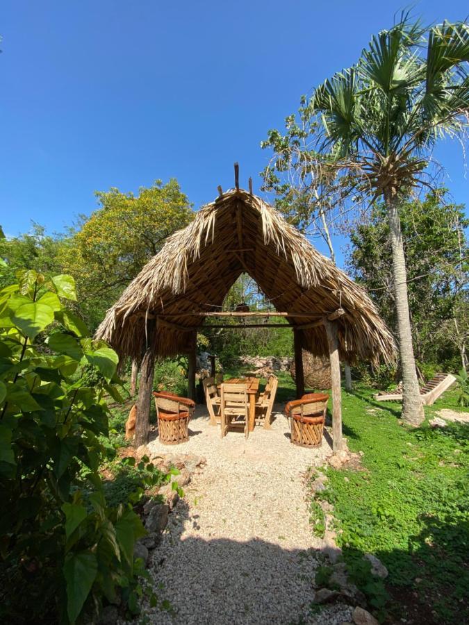 Encantadora Villa Maya Tradicional En Rancho Agroecologico Tzucaceb エクステリア 写真