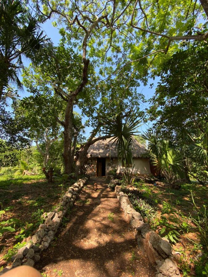 Encantadora Villa Maya Tradicional En Rancho Agroecologico Tzucaceb エクステリア 写真