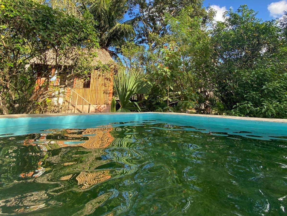 Encantadora Villa Maya Tradicional En Rancho Agroecologico Tzucaceb エクステリア 写真