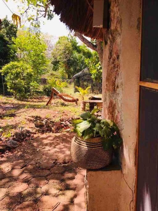 Encantadora Villa Maya Tradicional En Rancho Agroecologico Tzucaceb エクステリア 写真