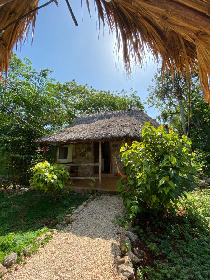 Encantadora Villa Maya Tradicional En Rancho Agroecologico Tzucaceb エクステリア 写真