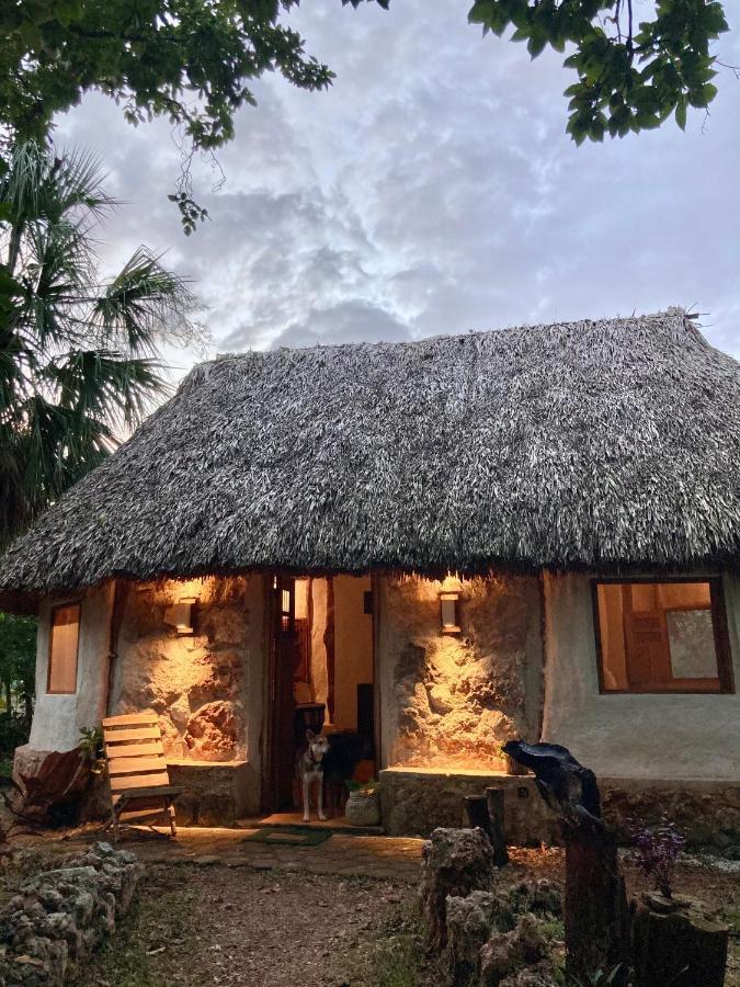Encantadora Villa Maya Tradicional En Rancho Agroecologico Tzucaceb エクステリア 写真