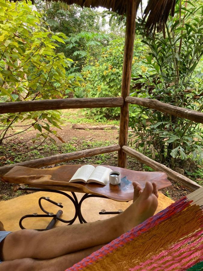 Encantadora Villa Maya Tradicional En Rancho Agroecologico Tzucaceb エクステリア 写真
