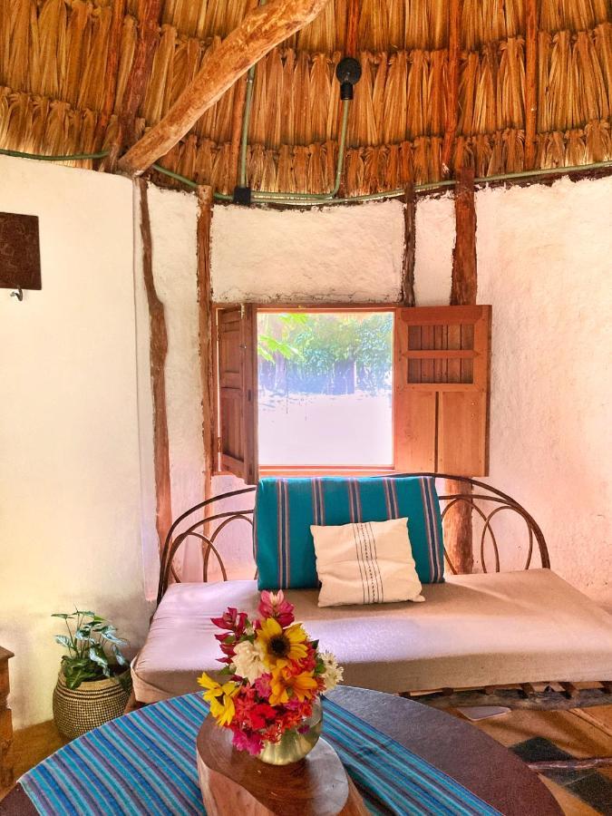 Encantadora Villa Maya Tradicional En Rancho Agroecologico Tzucaceb エクステリア 写真