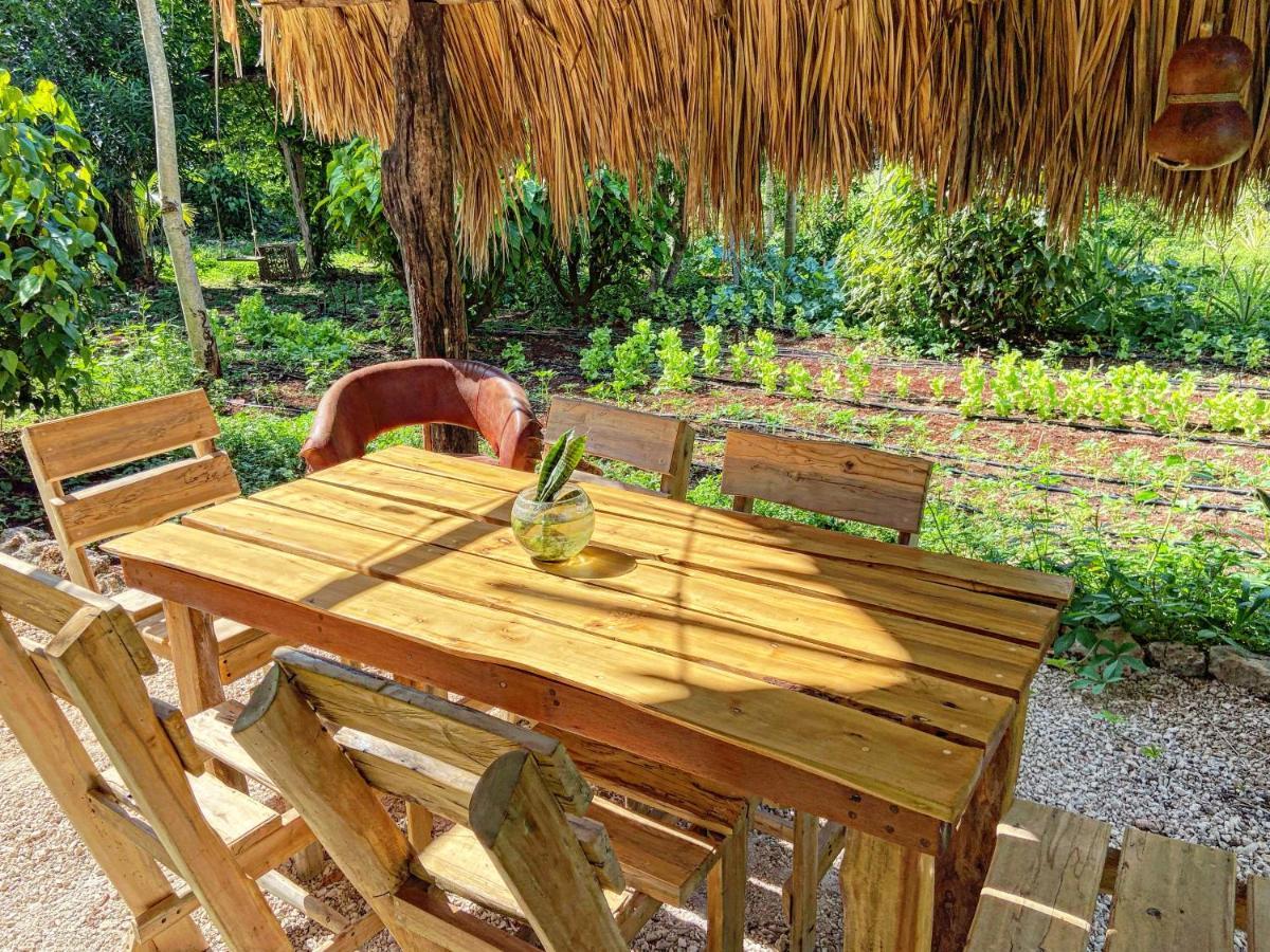 Encantadora Villa Maya Tradicional En Rancho Agroecologico Tzucaceb エクステリア 写真