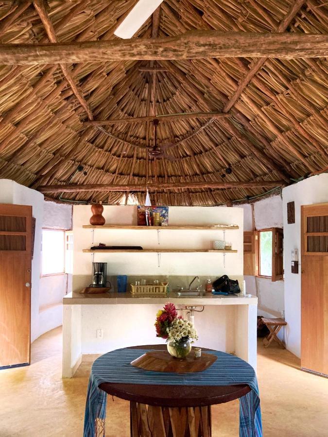 Encantadora Villa Maya Tradicional En Rancho Agroecologico Tzucaceb エクステリア 写真