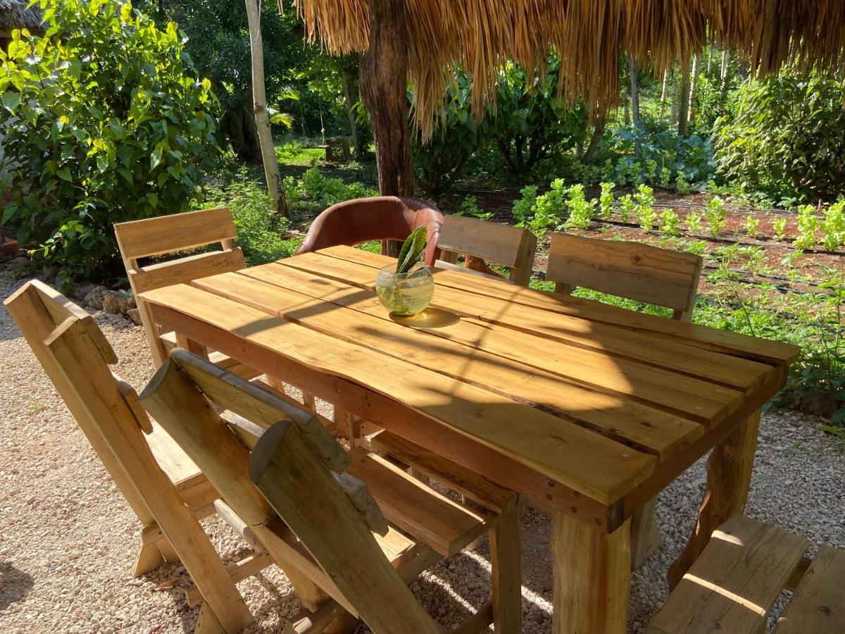 Encantadora Villa Maya Tradicional En Rancho Agroecologico Tzucaceb エクステリア 写真