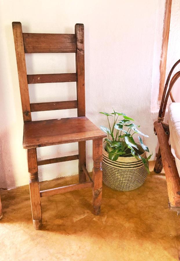 Encantadora Villa Maya Tradicional En Rancho Agroecologico Tzucaceb エクステリア 写真