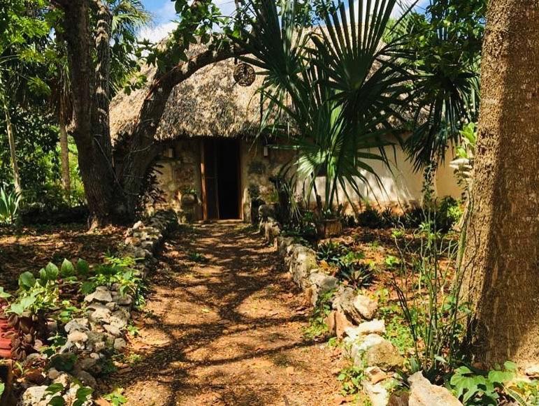 Encantadora Villa Maya Tradicional En Rancho Agroecologico Tzucaceb エクステリア 写真
