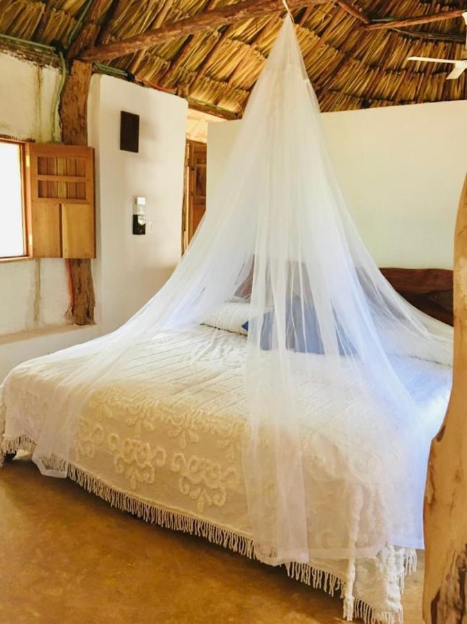 Encantadora Villa Maya Tradicional En Rancho Agroecologico Tzucaceb エクステリア 写真