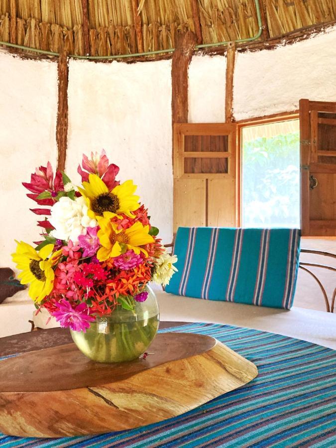 Encantadora Villa Maya Tradicional En Rancho Agroecologico Tzucaceb エクステリア 写真
