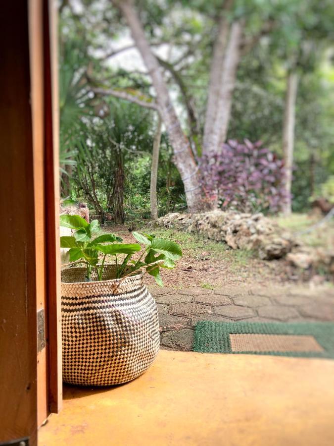 Encantadora Villa Maya Tradicional En Rancho Agroecologico Tzucaceb エクステリア 写真