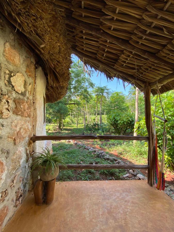 Encantadora Villa Maya Tradicional En Rancho Agroecologico Tzucaceb エクステリア 写真