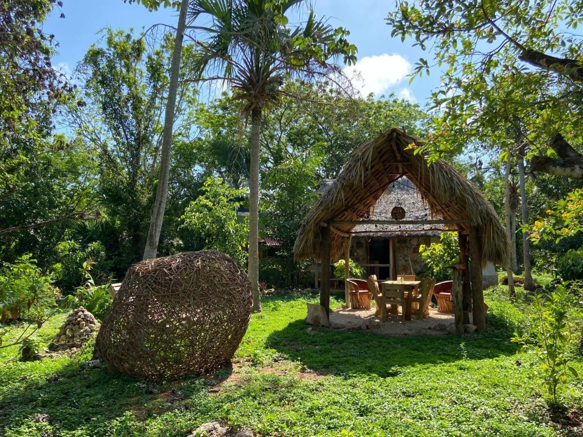 Encantadora Villa Maya Tradicional En Rancho Agroecologico Tzucaceb エクステリア 写真