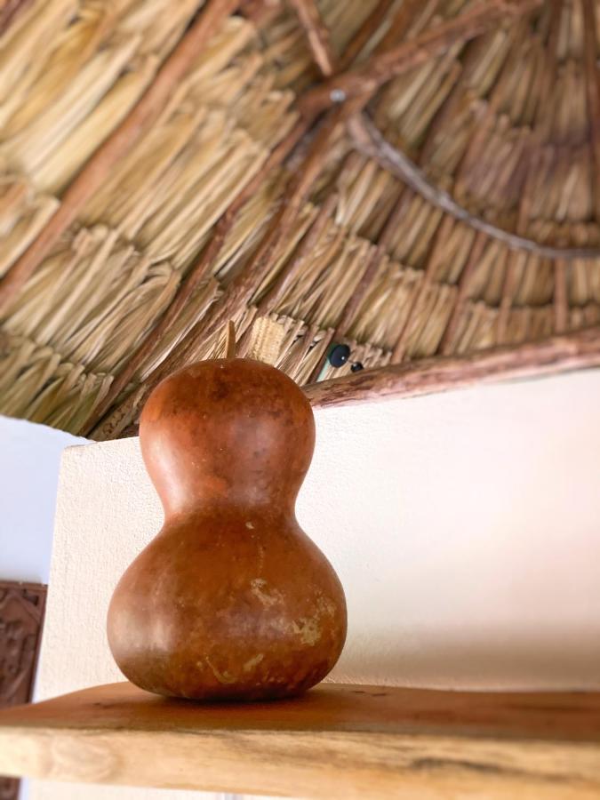 Encantadora Villa Maya Tradicional En Rancho Agroecologico Tzucaceb エクステリア 写真