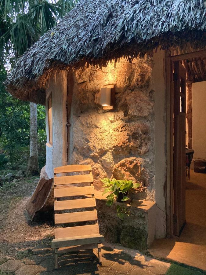 Encantadora Villa Maya Tradicional En Rancho Agroecologico Tzucaceb エクステリア 写真