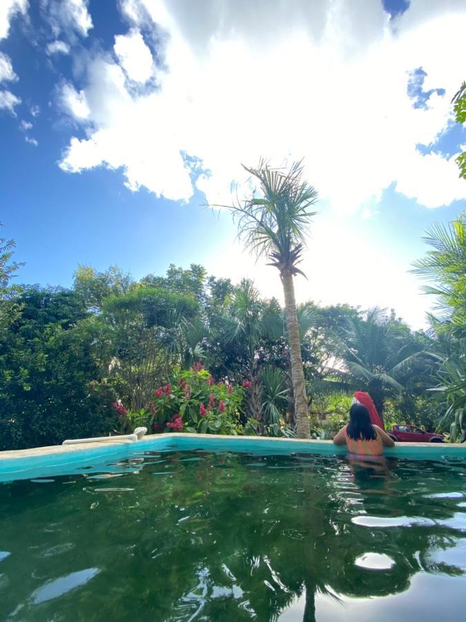 Encantadora Villa Maya Tradicional En Rancho Agroecologico Tzucaceb エクステリア 写真